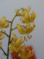 Foto: Dr. Peter Müller